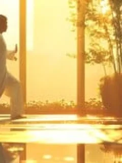 Wa: Understanding Japanese Harmony for US Professionals in 2025 - Cover Image