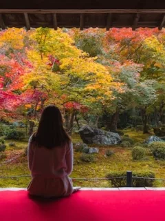 Japan Accommodation Guide: Hostels to Ryokans for US Travelers - Cover Image