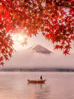 Japan's Autumn Foliage Forecast 2025: US Nature Lovers' Guide - Cover Image