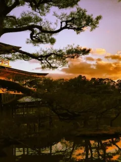 Unlocking Japan's Hidden Gems: A US Adventurer's Guide - Cover Image