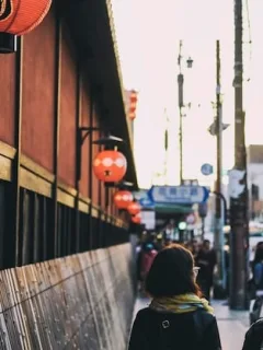 Japan's Language Guide: Essential Phrases for US Travelers - Cover Image