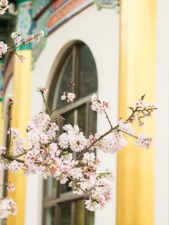 Japan's Art and Culture: A US Visitor's Museum & Gallery Guide - Cover Image
