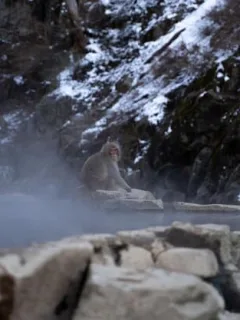 Japan Onsen Guide: Hot Springs for US First-Timers - Cover Image
