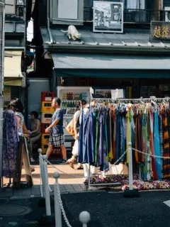 Japanese Secondhand Shopping: A Guide for US Treasure Hunters - Cover Image