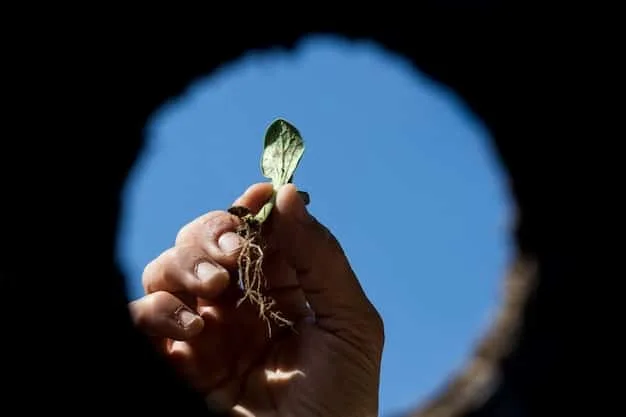 Hands holding a small, sprouting plant in soil, symbolizing growth, renewal, and valuing resources.