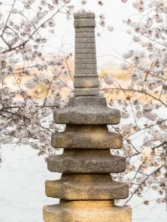 Understanding Japanese Concepts: A Deep Dive into Culture - Cover Image