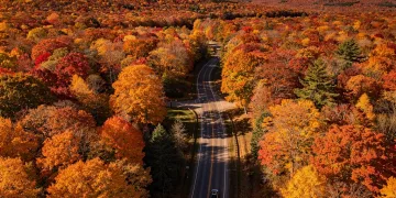 Vibrant New England autumn foliage from an aerial perspective, showcasing peak fall colors along a scenic road.
