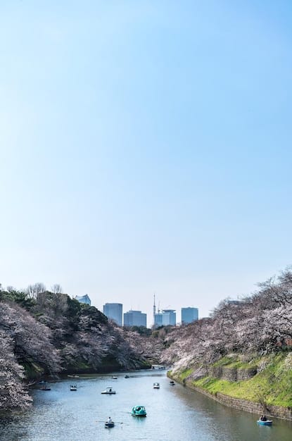 Japan’s Cherry Blossom Season 2025: US Traveler’s Ultimate Guide!