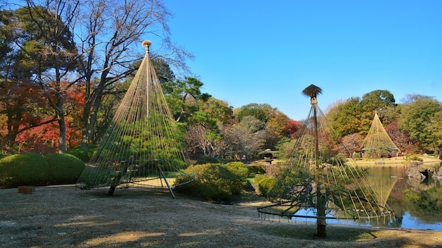 A wide shot of Shinjuku Gyoen National Garden in Tokyo during autumn, showcasing the diverse foliage and traditional Japanese landscaping.
