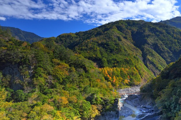 A panoramic shot of the Iya Valley in Shikoku, Japan, showing lush green mountainsides, a winding river below, and a traditional vine bridge spanning the valley. This image highlights the natural beauty and remote charm of Shikoku.