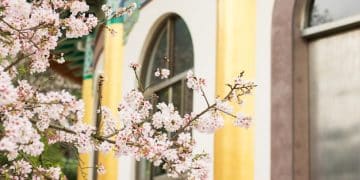 Japan's Art and Culture: A US Visitor's Museum & Gallery Guide - Cover Image