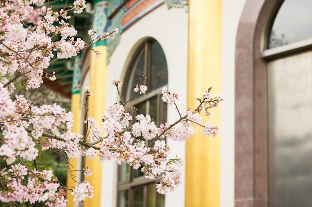 Japan’s Art and Culture: A US Visitor’s Museum & Gallery Guide