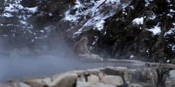 Japan Onsen Guide: Hot Springs for US First-Timers - Cover Image