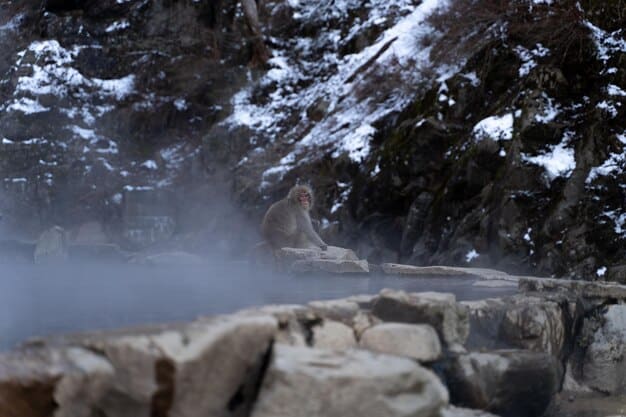 Japan Onsen Guide: Hot Springs for US First-Timers