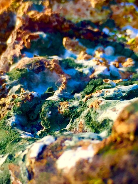A close-up shot of various onsen minerals deposited on the rocks around a hot spring, highlighting their different colors and textures.