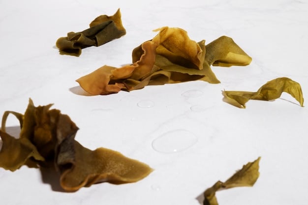 Close-up of dried kombu seaweed, showing its deep brown color and slightly wrinkled texture. A hand reaches out to tear off a piece, highlighting its flexibility and fibrous nature.