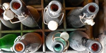 Sake Secrets: Decoding Labels for Perfect Pairings in 2025 - Cover Image