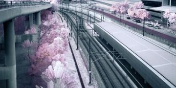 Understanding Japanese Punctuality: A Guide for 2025 - Cover Image