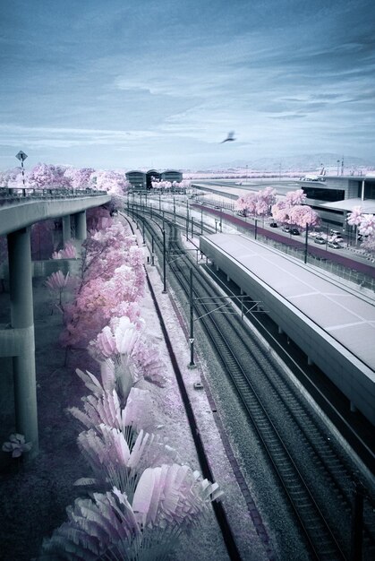 Understanding Japanese Punctuality: A Guide for 2025