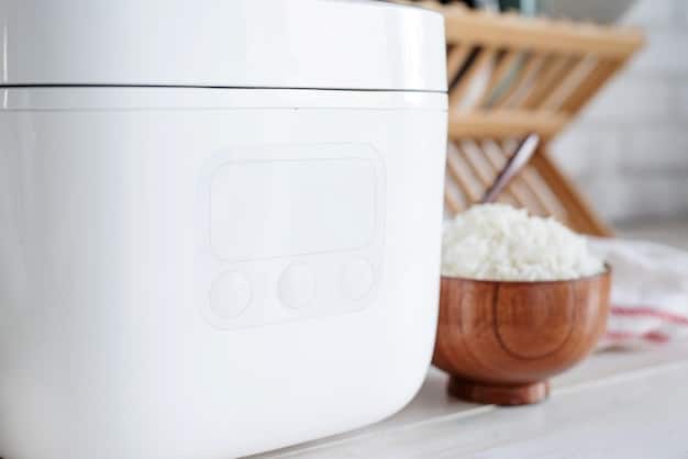 A sleek, modern Japanese rice cooker with a separate, slightly prominent step-down transformer plugged in, showing the necessary setup for US use.