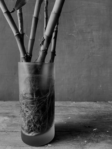 Mastering Sumi-e: The Art of Japanese Ink Wash Painting