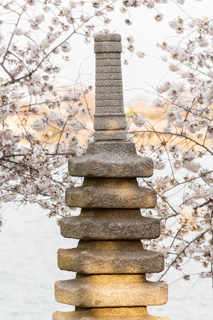Understanding Japanese Concepts: A Deep Dive into Culture